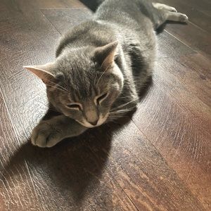 Meet your Posher, Rosemary